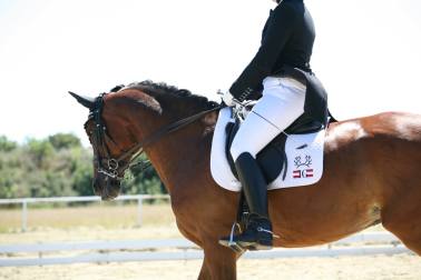 1073932_10201086308034260_207618243_o